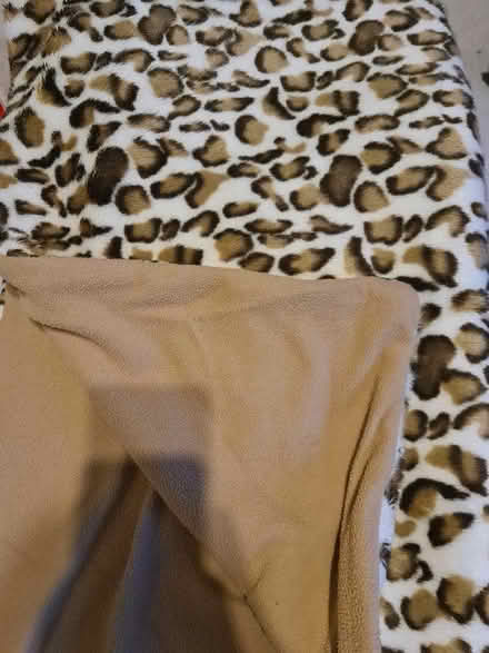 Photo of free Faux fur blanket (Leopard) (Tower Gardens Estate N17) #1