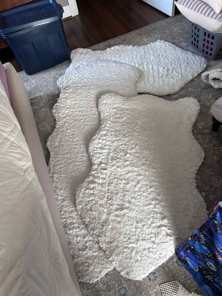 Photo of free 3 Safavieh faux sheepskin rugs (Colonial place) #1