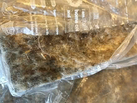 Photo of free Wool type wadding (Coney Hall BR4) #1
