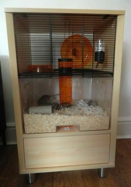Photo of free Omlet rodent incloser (CM7) #1