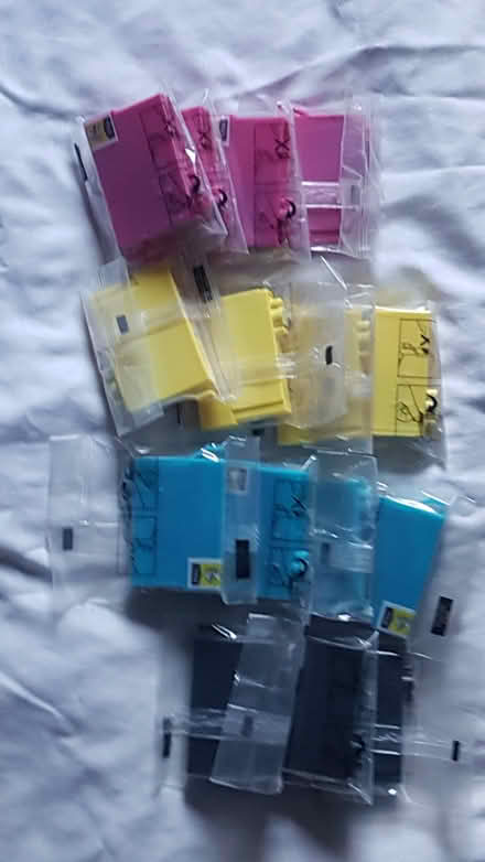Photo of free Epson compatible printer inks (Bagthorpe NG16) #1