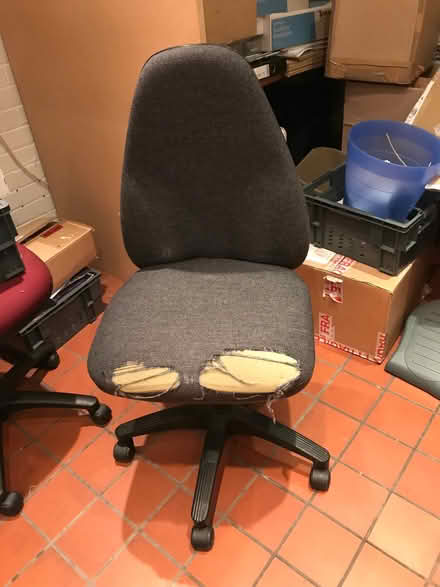 Photo of free Office chair (Steyning central) #1
