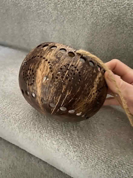Photo of free Coconut decoration (GU1) #1