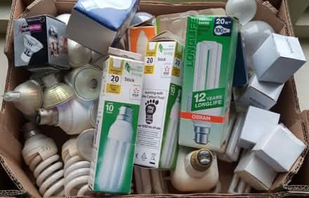 Photo of free Light bulbs (Middleyard GL10) #1