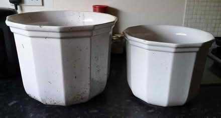 Photo of free 2 big white plant pots. (Amber Valley DE56) #2