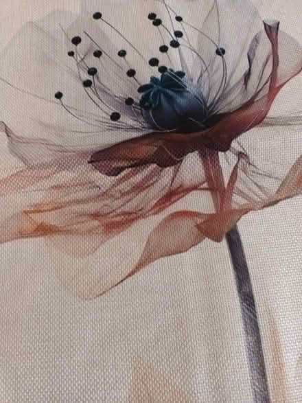 Photo of free 5 cushion covers (Baldock, Clothall Common SG7) #1