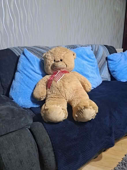 Photo of free Teddy bear (Fallings Heath WS2) #2