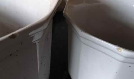 Photo of free 2 big white plant pots. (Amber Valley DE56) #1