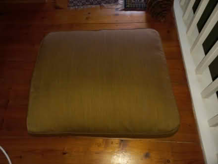 Photo of free large feather cushions (Marshwood DT6) #1