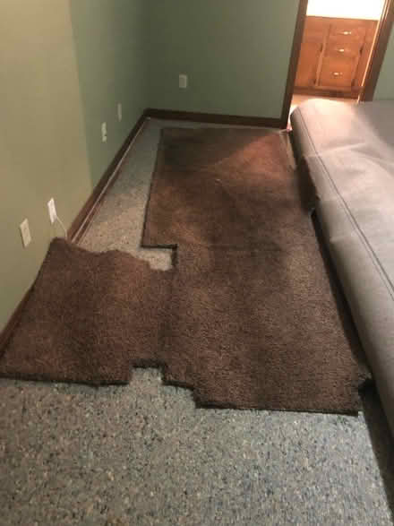 Photo of free Carpet & padding. Dark brown (Cantonment) #1