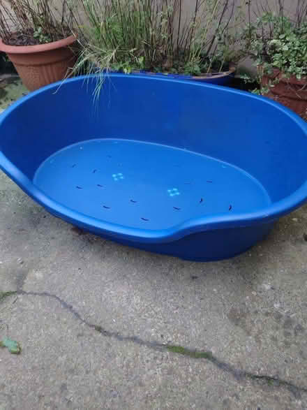 Photo of free Dog bed (Sacriston DH7) #1