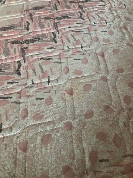Photo of free Silent Night Double Mattress (Norton TS20) #3