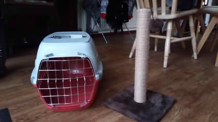 Photo of free Cat carrier and scratch post (Coventry Tile Hill CV4) #1