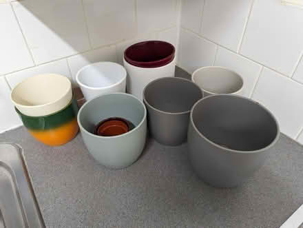 Photo of free Many plant pots (SG8) #1