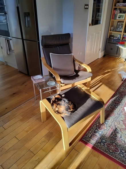 Photo of free Ikea Chair (Similar) plus stool (Mossley Congleton) #1