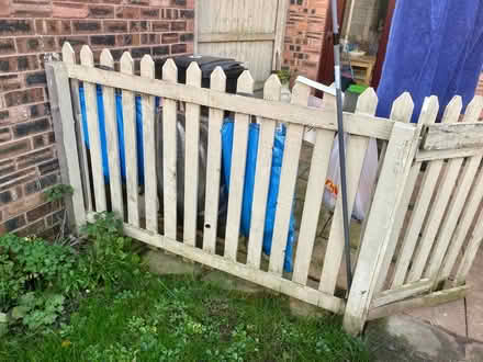 Photo of free Picket style fencing (Flint) #4