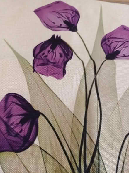 Photo of free 5 cushion covers (Baldock, Clothall Common SG7) #2