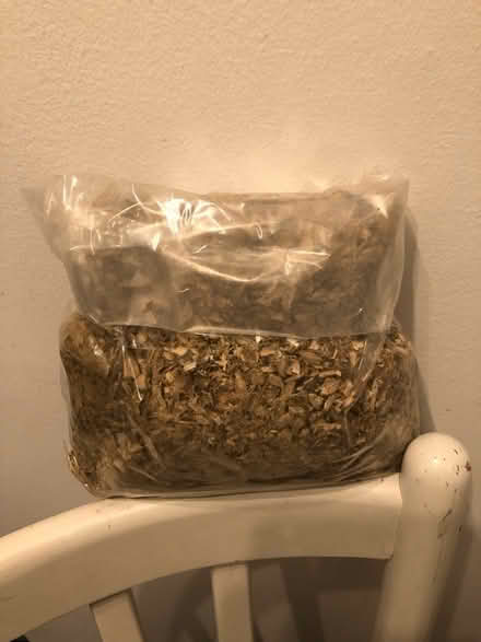 Photo of free Marshmallow root (CR3) #2