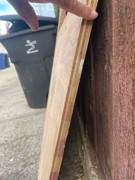 Photo of free large sheet of plywood (Near Douglas park) #2