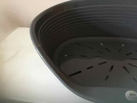 Photo of free Cat/dog bed. (Canton CF5) #2