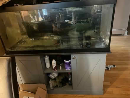 Photo of free 59 Gallon fish tank with stand (North Cambridge) #2