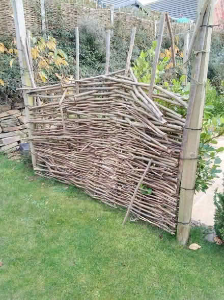 Photo of free Wood (North Devon District EX36) #1