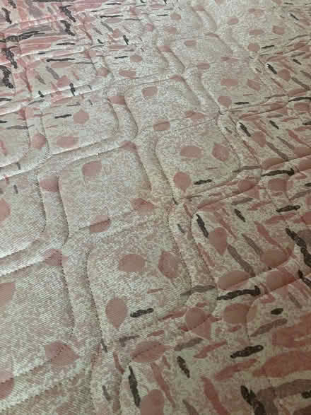Photo of free Silent Night Double Mattress (Norton TS20) #2