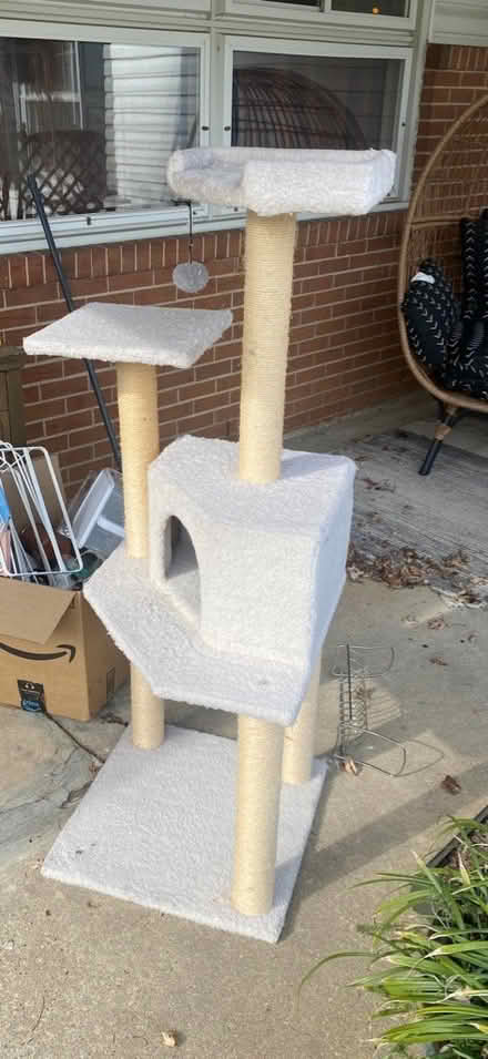 Photo of free cat tree (King Heights) #1