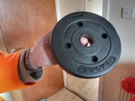 Photo of free Weights for use at home (Ballumbie DD4) #1