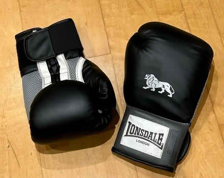 Photo of free Boxing Gloves (Leicester LE1) #1