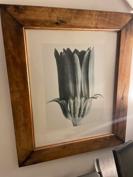 Photo of free Framed picture (Tunbridge Wells) #1