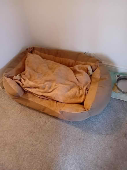 Photo of free Large dog bed (Oxford ST6) #2