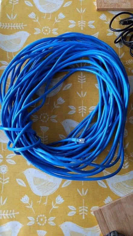 Photo of free Very (very!) Long ethernet cable (Danderhall EH22) #1