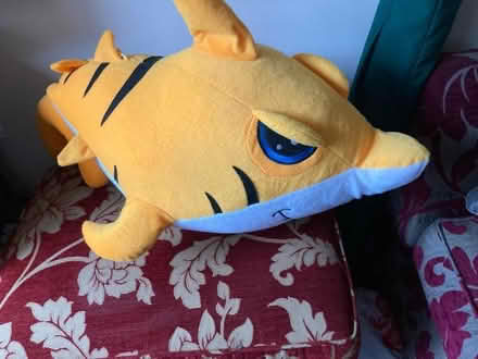 Photo of free Large stuffed tiger shark toy (Emscote CV34) #1