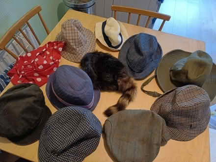 Photo of free Hats (AB15) #1