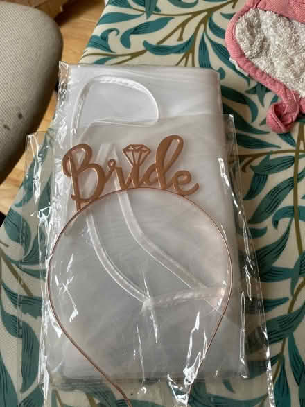 Photo of free Bridal veil & tiara for Hen do (SW16) #1