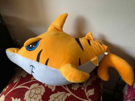 Photo of free Large stuffed tiger shark toy (Emscote CV34) #2