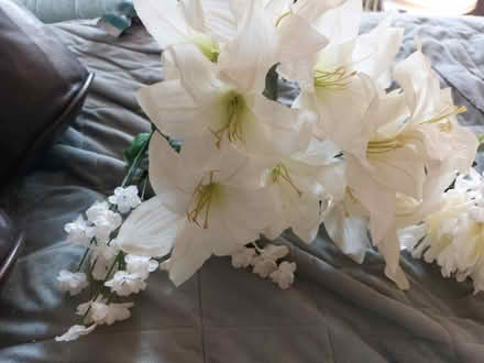 Photo of free Off white pale yellow flowers (Jamaica new york) #2