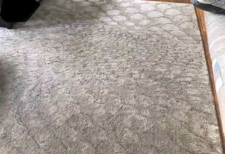 Photo of free Area Rug 8’x10’ Indoor (Murphy Park, Sunnyvale) #1