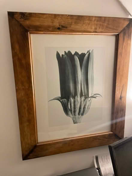 Photo of free Framed picture (Tunbridge Wells) #2