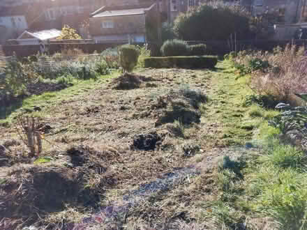 Photo of Weed Suppression Fabric / Membrane (Fairfield Park) #1