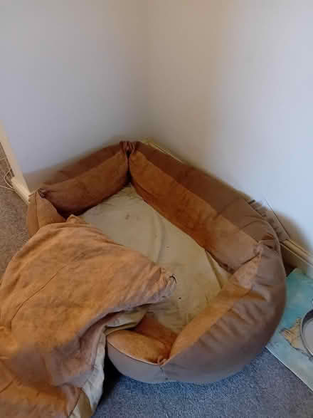 Photo of free Large dog bed (Oxford ST6) #1