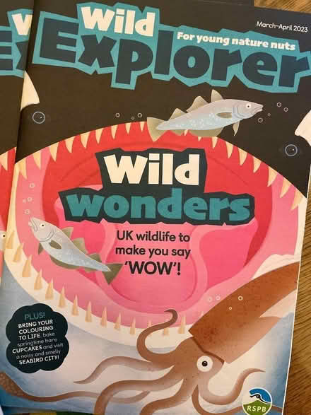 Photo of free RSPB Wild Explorer magazines (Starbeck HG2) #1