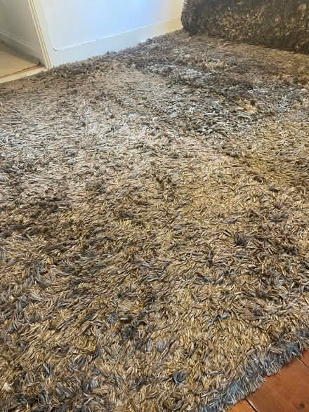 Photo of free 3x3m Italian rug (Tunbridge Wells) #2