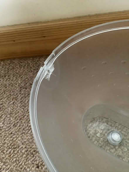 Photo of free Brita Marella XL water filter jug (Montrose DD10) #3