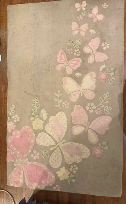 Photo of free Butterfly area rug / carpet 5 x 8ft (Silver Lake / Los Feliz) #1
