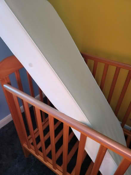 Photo of free Wooden cot bed and mattress (Bedford) #1