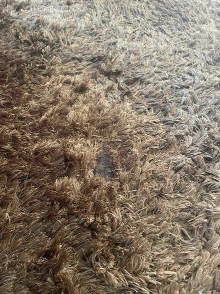 Photo of free 3x3m Italian rug (Tunbridge Wells) #1