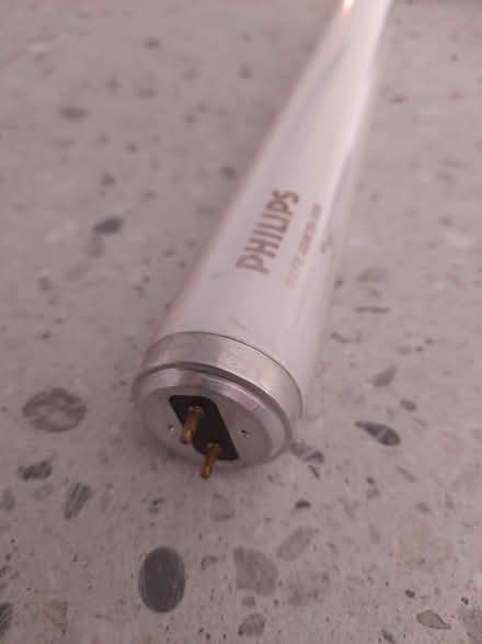 Photo of free Long Llight Bulb (DY10 Horsefair Kidderminster) #1