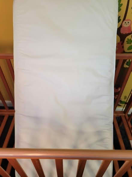 Photo of free Wooden cot bed and mattress (Bedford) #2